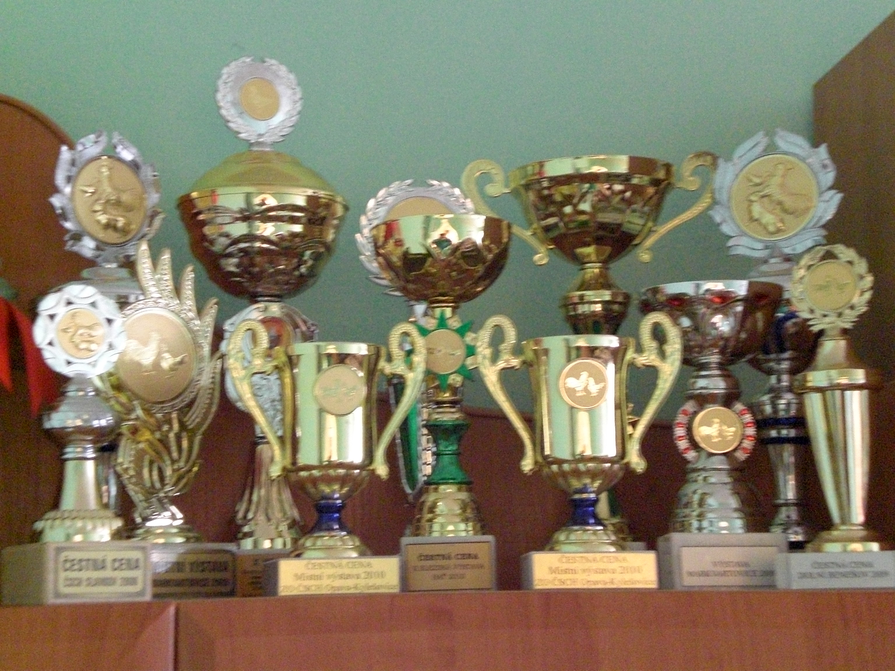 fotky 2 010